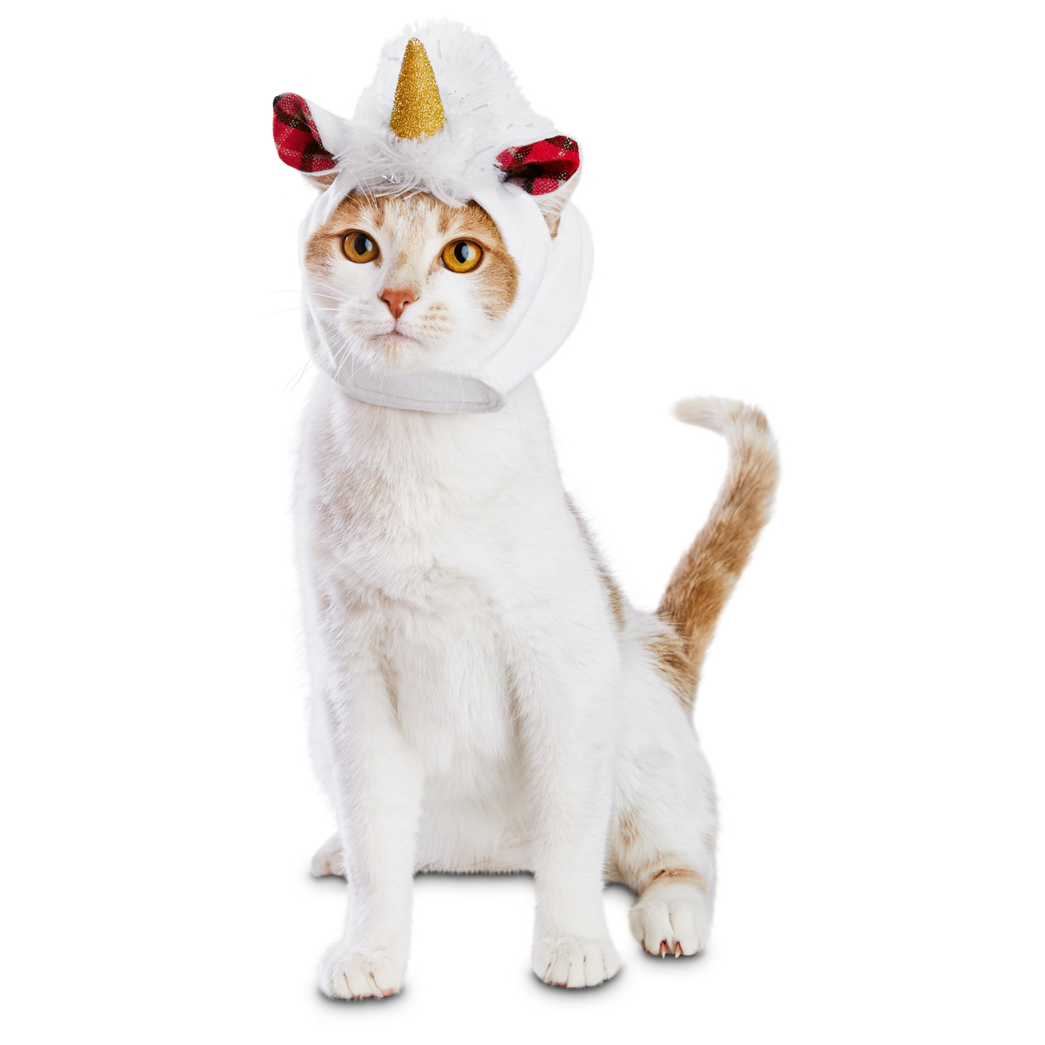Cute Gifts for Cat Lovers - Super Cute Kawaii!!